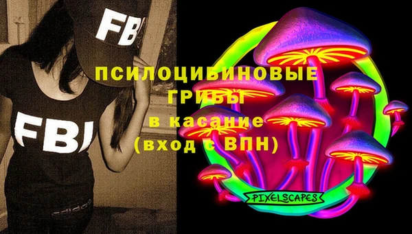 ПСИЛОЦИБИНОВЫЕ ГРИБЫ Бронницы