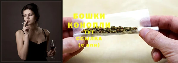 гашик Бородино