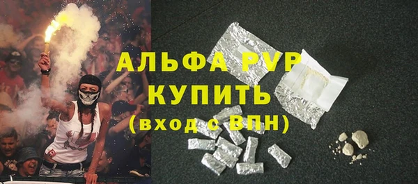 гашик Бородино