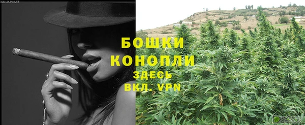 гашик Бородино