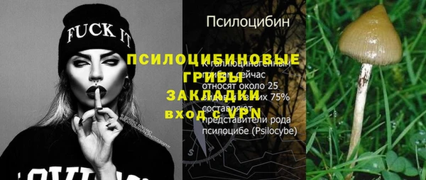 гашик Бородино