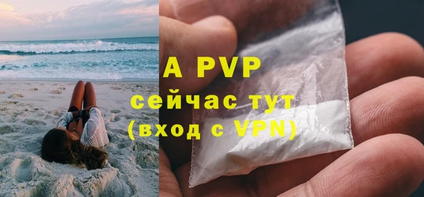 ПСИЛОЦИБИНОВЫЕ ГРИБЫ Бронницы