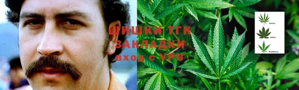 гашик Бородино